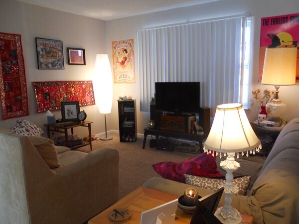 Living room - 1115 N 12th St Apartment Unit 5