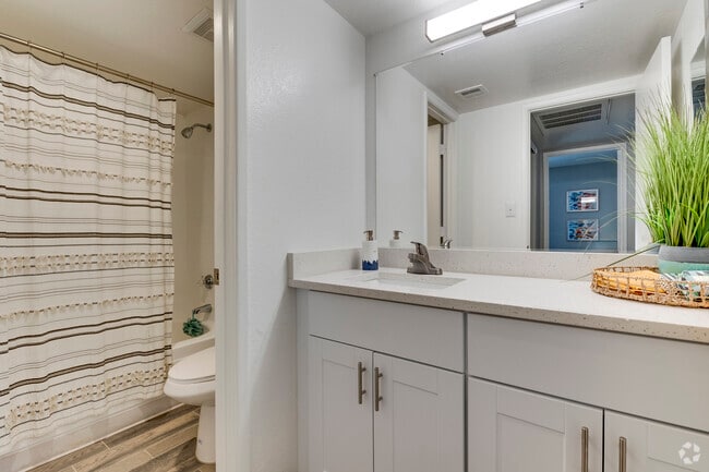 1BR, 1BA - 630SF - Bathroom