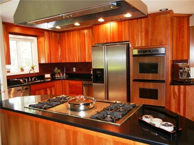 Photo - Newcastle/Hazelnut Terrace Rambler