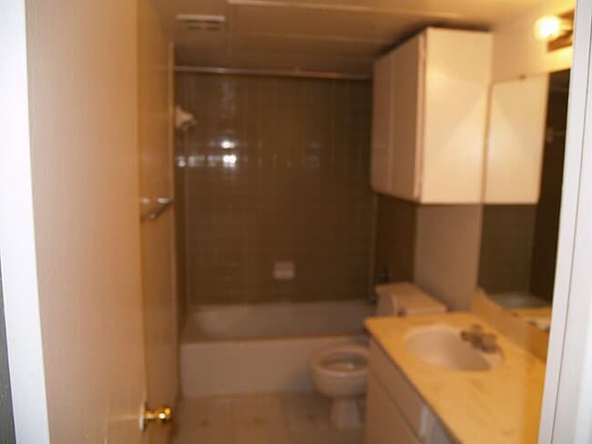 Building Photo - 4647 Wild Indigo St Unit 355