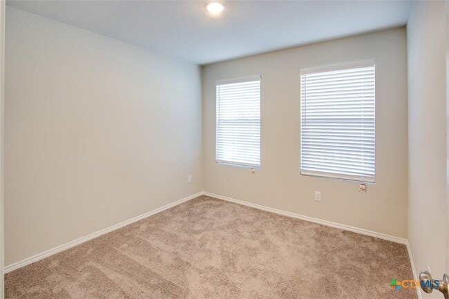 Photo - 1915 Chiffchaff