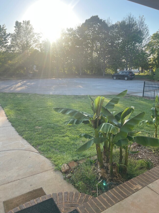 Photo - 420 Oconner Ct