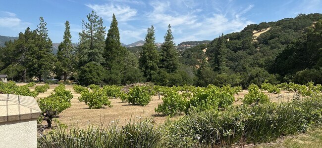 Photo - Hilltop Estate in Green Valley-Fully Furni...
