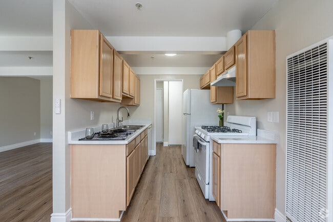 1BR, 1BA - 750SF - Kitchen - Mountainview Venture