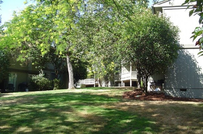 Photo - Beautiful Southeast Eugene hillside locati...
