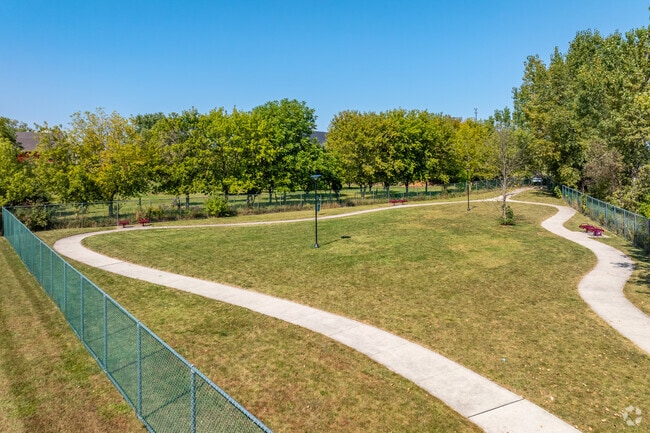 Dog Park