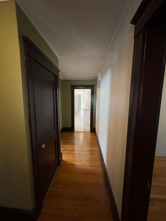 Photo - 128-130 Clarence St Unit 2