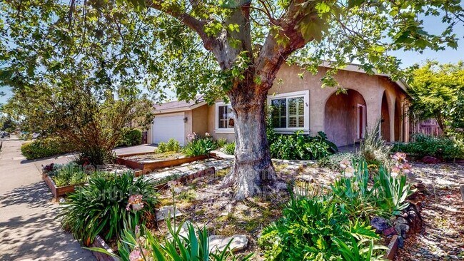 Photo - 1321 Berrydale Dr