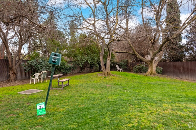 Dog Park