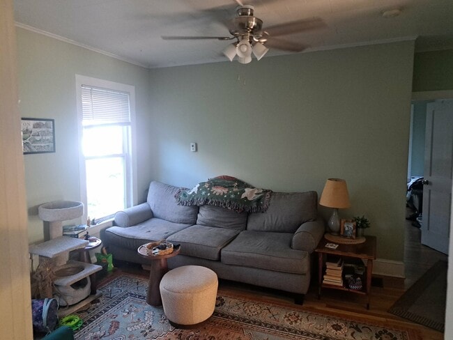 living room - 377 Pearl St Unit 1