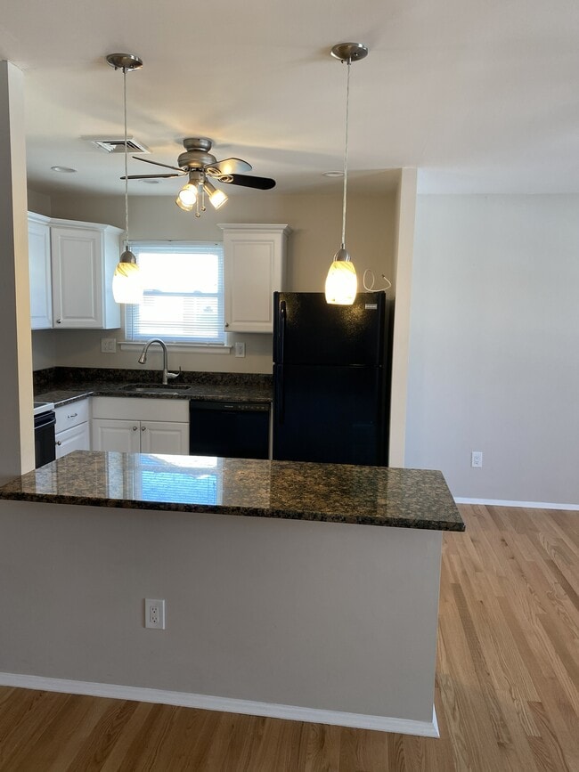 Kitchen Veiw - Pendant Lighting, Ceiling Fan and Recessed Lighting - 312 Birch Dr