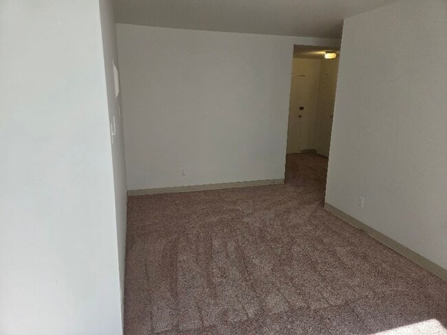 Photo - Robin Towers