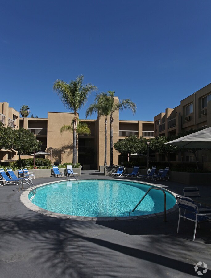 Pool - Oasis Apartments