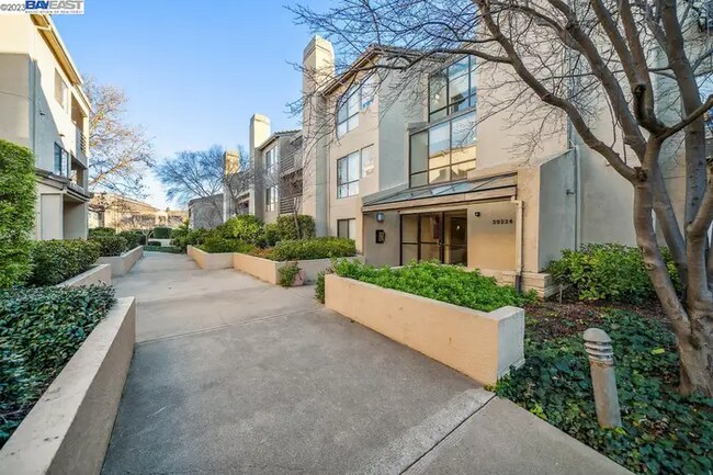 Photo - 39224 Guardino Dr Condo Unit 306