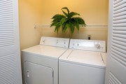 In-Unit Laundry