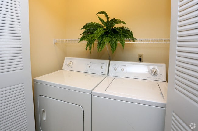 In-Unit Laundry