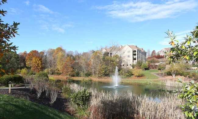 1 Acre Pond