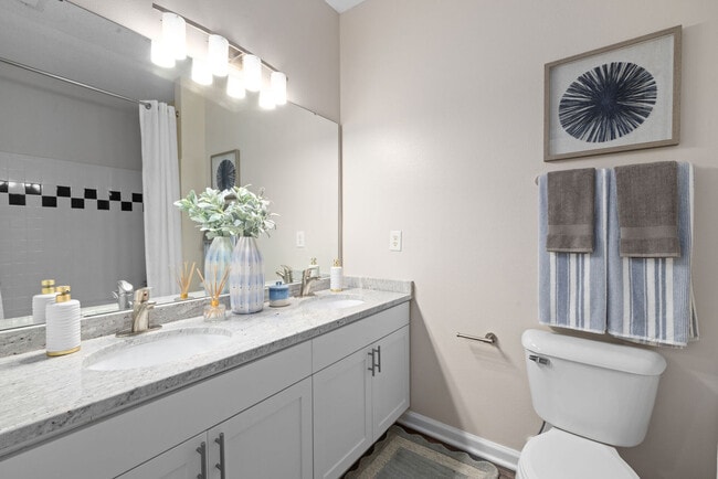 The Morgan at Chapel Hill apartments — community photo