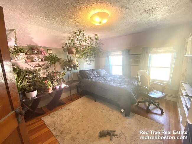 Photo - 92 Hobart St Unit 2