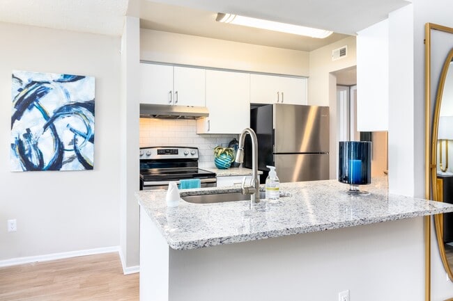 Open Kitchen - Vantage on Hillsborough Apartments