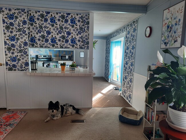 Photo - 7 L St House