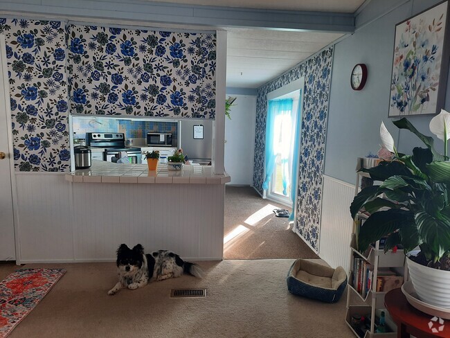 Building Photo - 7 L St Rental