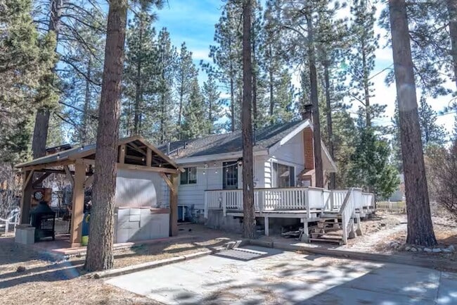 Photo - Mountain Lane