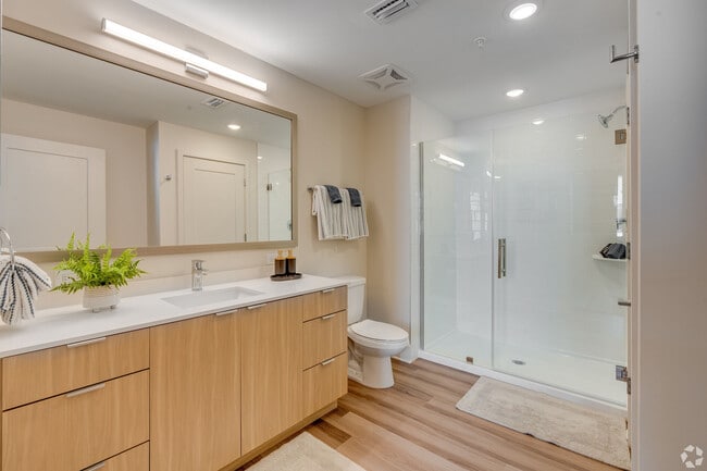 Photo - Alexan Ludlam Trace