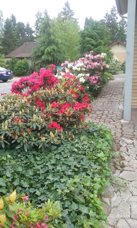 Photo - 12323 A St S Unit 2B