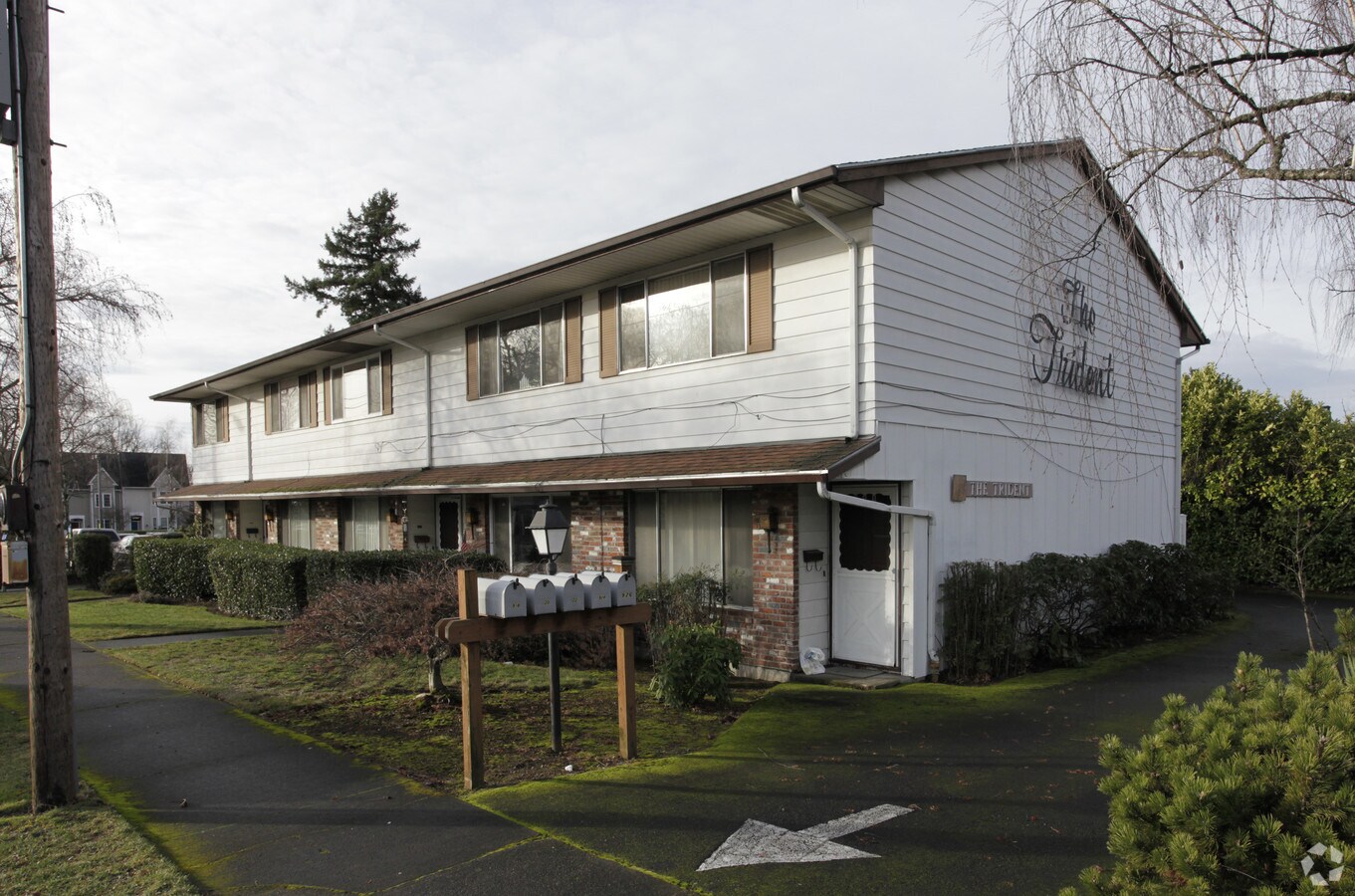 The Trident - The Trident