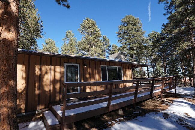 Charming Home in Conifer! - Charming Home in Conifer!