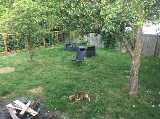 Backyard - 1727 NW 63rd St
