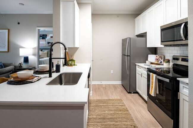 Renovated Kitchen with Stainless Steel Appliances - The Pointe at Vista Ridge Apartments