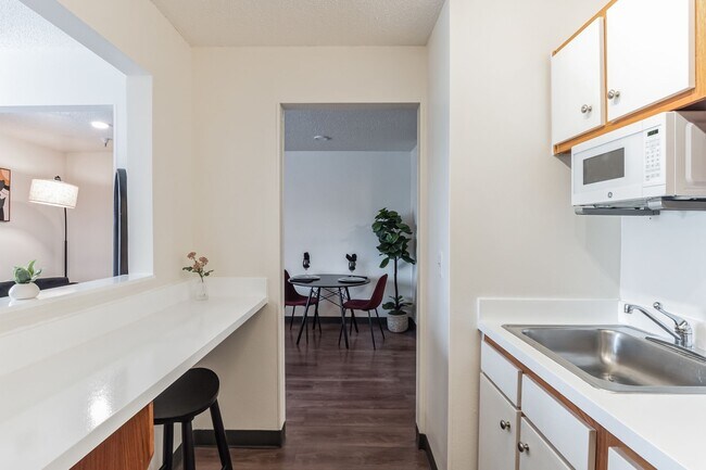 Vivo Living Charlotte University