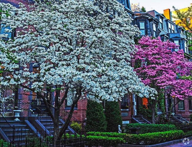 Building Photo - 379 Marlborough St Rental