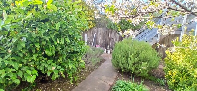 Building Photo - 1457 11th Ave Unit Wine Lovers Garden Retrea