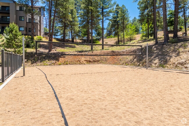 Sand Volleyball Court