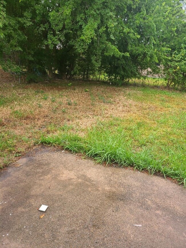 Photo - 12823 Glen Hollow Dr