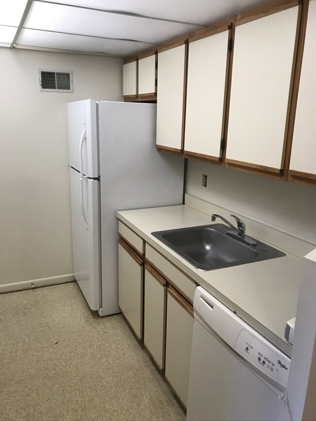 Kitchen Sink/Refrigerator - 138 Green Turtle Ln Unit #4