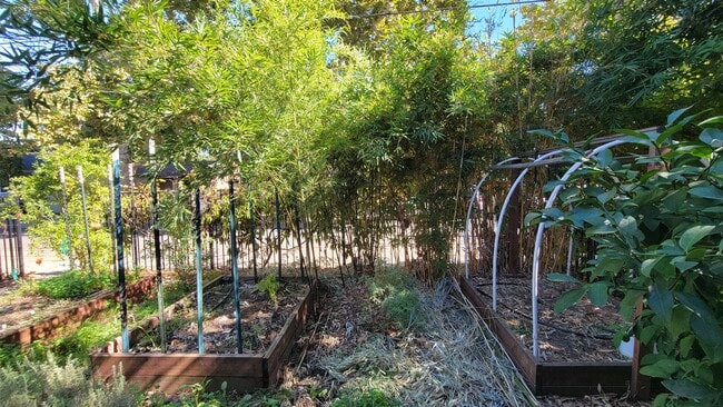 Photo - 3116 San Carlos Way