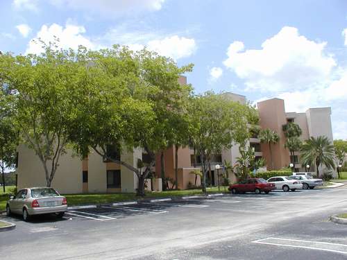 Alternate View