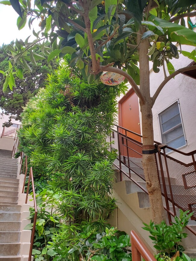 Westwood Apartments, Inc