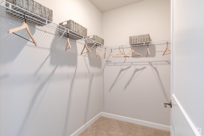 1BR, 1BA - Closet