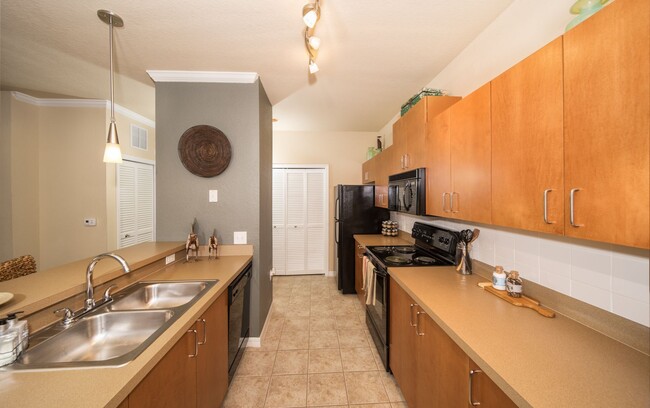 Building Photo - Enclave At Wesley Chapel Rental