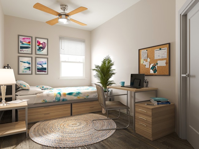 Photo - The Pier Conway