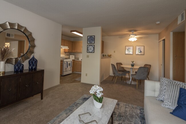 Photo - Canterbury Downs