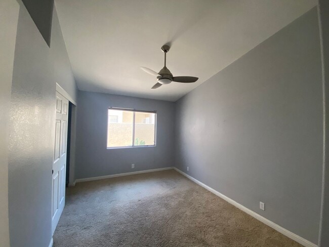 Photo - Henderson Cutie