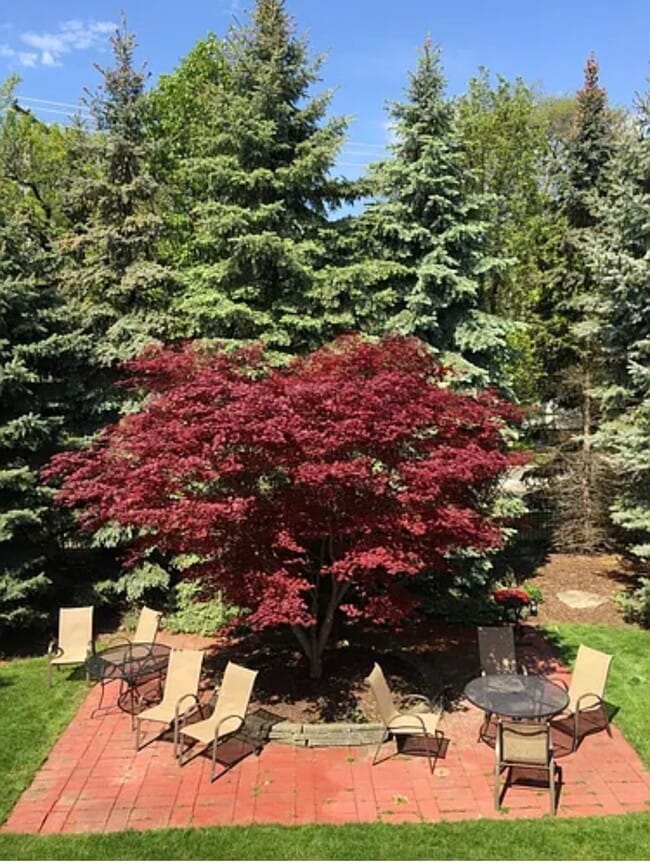 Photo - 475 S Adams Rd Unit 22