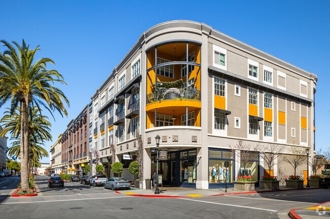 Primario - The Margo