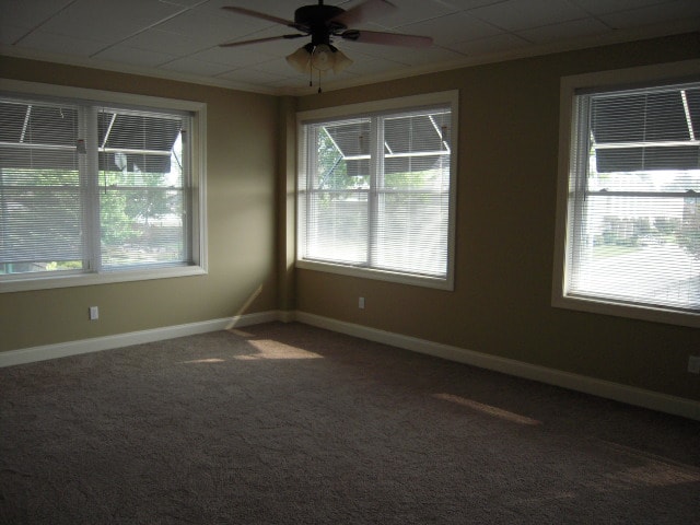 Suites of Larue